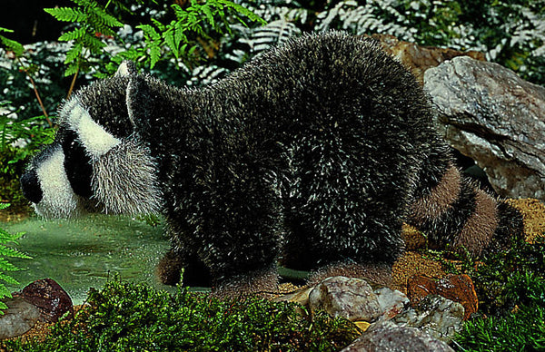 Raccoon by Kosen - 26cm