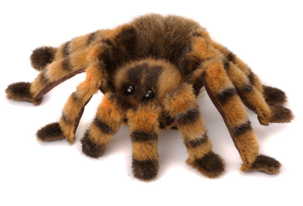 Red-Kneed Tarantula by Kosen - 22cm