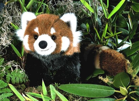Red Panda by Kosen - 48cm