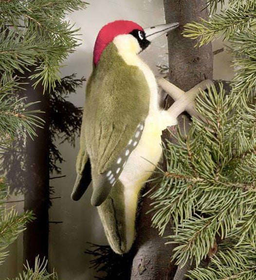 Green Woodpecker by Kosen - 27cm