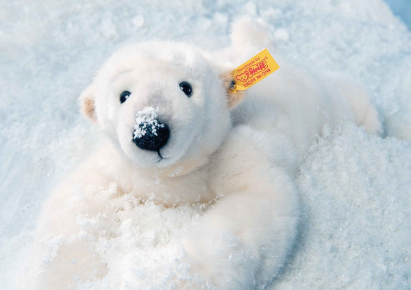 Nanouk Polar Bear by Steiff - 33cm